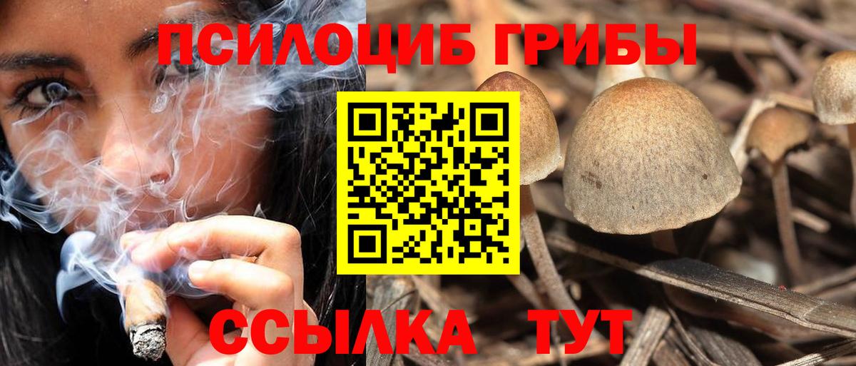 Звенигород  Галлюциногенные грибы MAGIC MUSHROOMS  Вход с VPN 